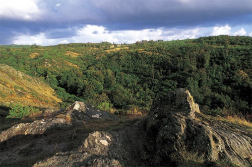 fort de Brocliande, dpartement de l'Ile-et-Vilaine